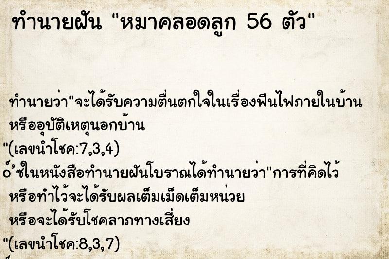 ทำนายฝันหมาคลอดลูก56ตัว ทำนายฝันทำนายฝันหมาคลอดลูก56ตัว